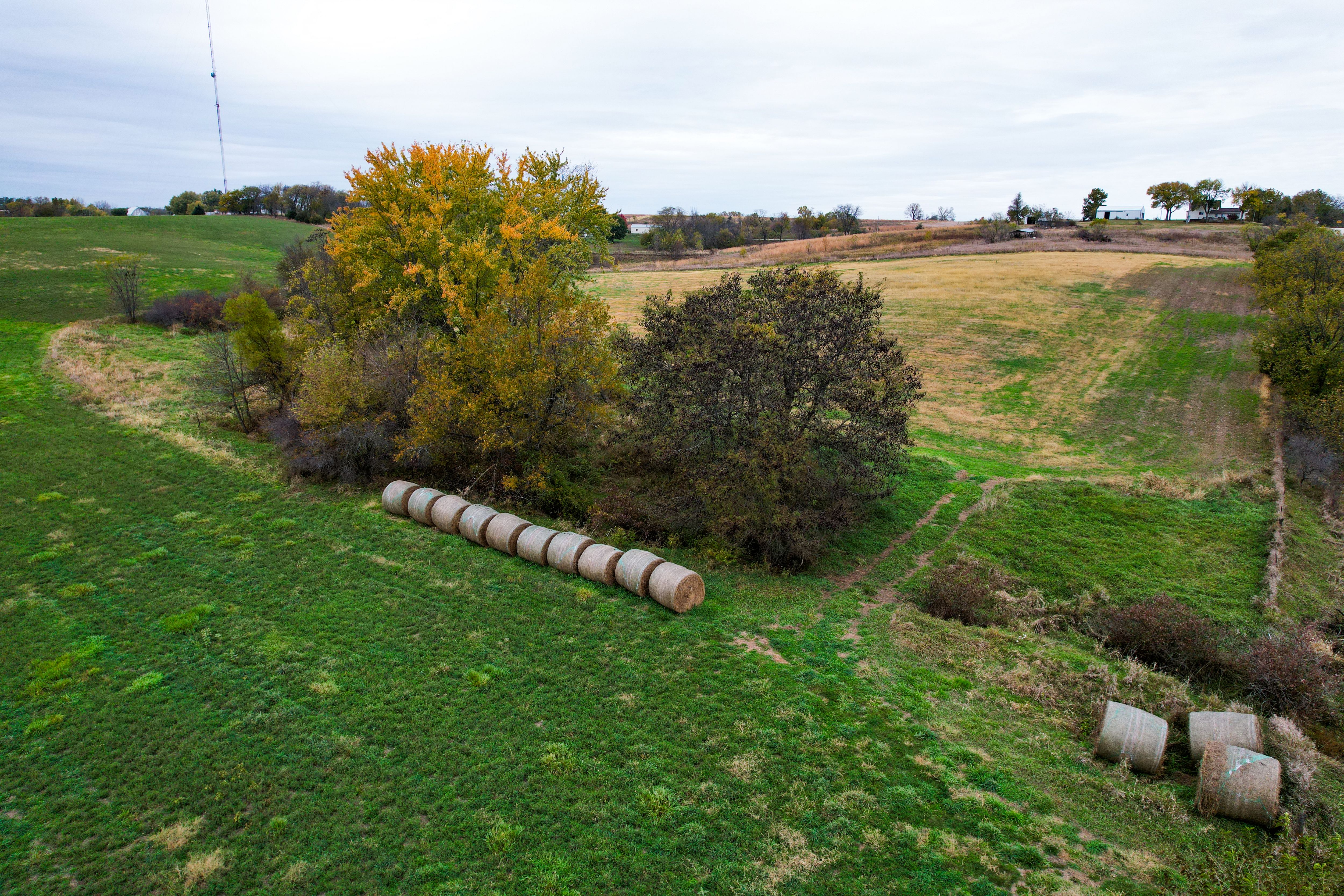 Listing Photo: Photo Oct 27 2025, 2 12 20 PM